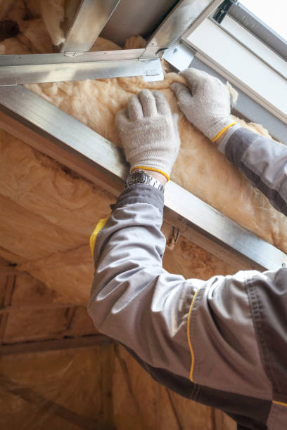Best Best Insulation Companies  in Oxford, MI