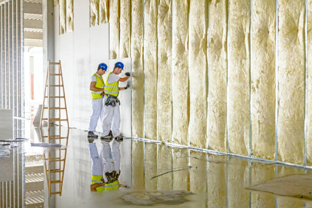 Best Spray Foam Insulation  in Oxford, MI